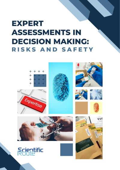 Cover for Expert assessments in decision making: risks and safety
